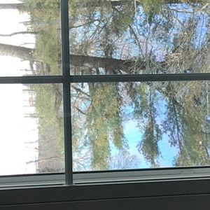 Meet your Posher, Tamera